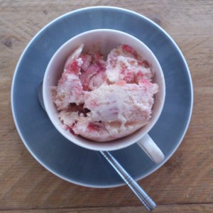 rhubarb icecream